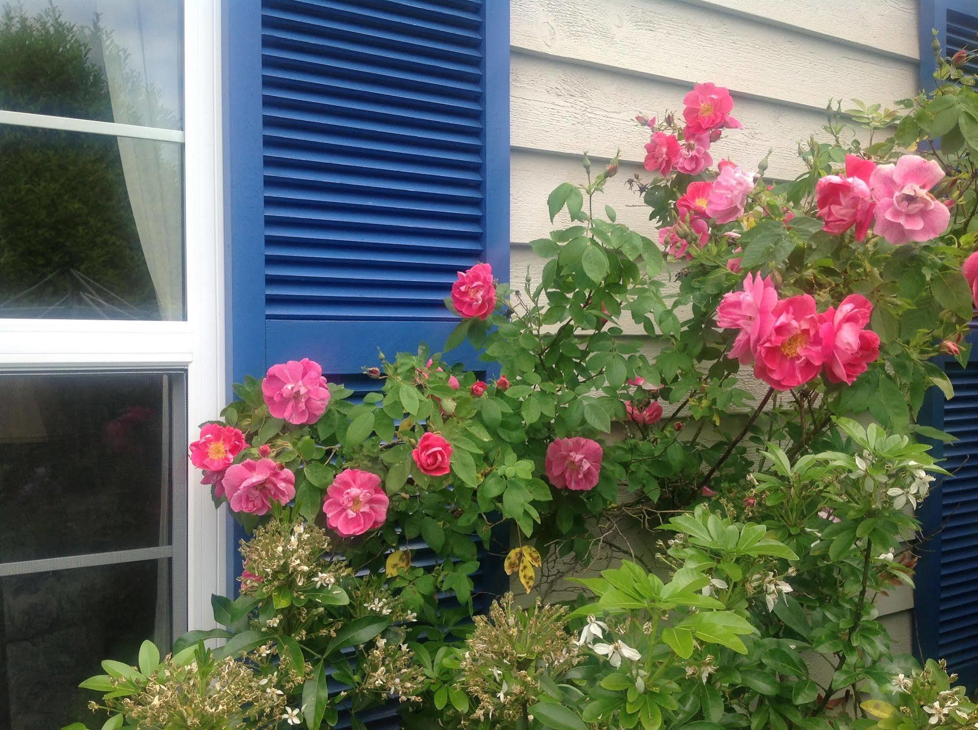 Belle Maison Auprès De La 3*